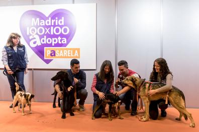 100x100 Mascota catwalk