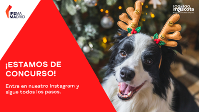 cartel concurso de navidad con un perro con una diadema de reno