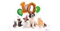 Mascotas alrededor de un globo con el décimo aniversario