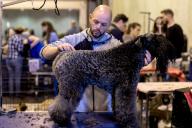 Peluquería canina