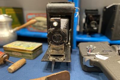 Camara Thornton-Pickard