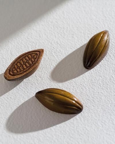 Tres semillas de cacao, una de ellas abierta para mostrar su interior, sobre una superficie blanca iluminada por luz natural.