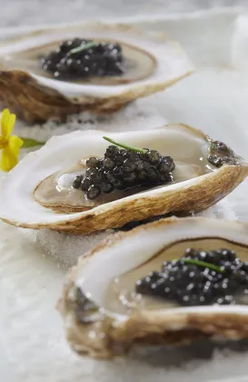 oysters with caviar