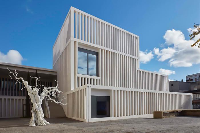 Colecção da Museo Helga Alvear