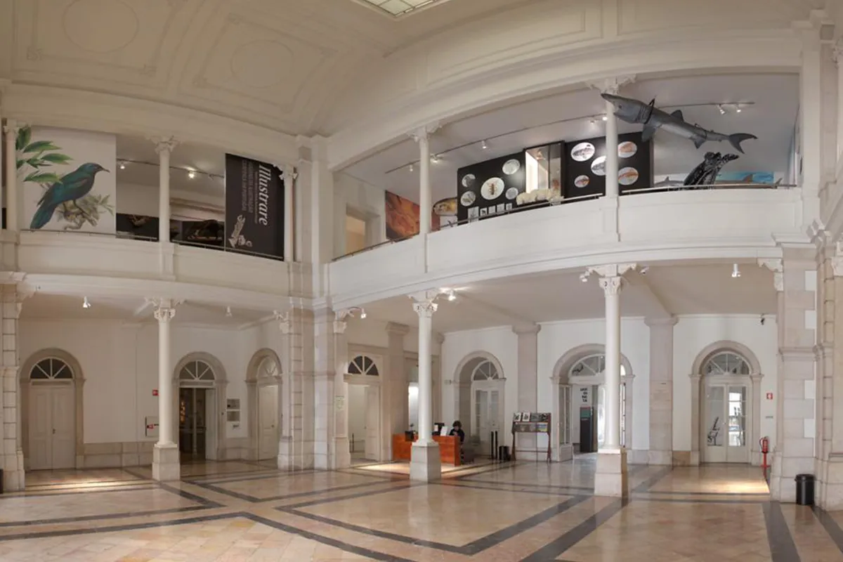 Museu Nacional de História Natural e da Ciência