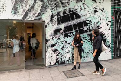 Actividades da Fundação