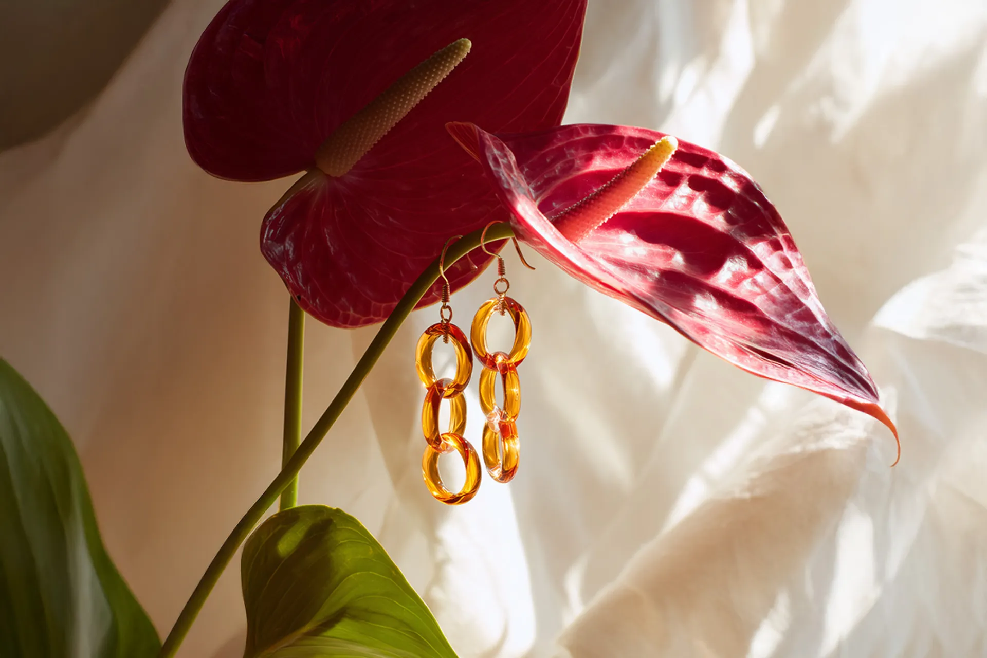 Red flowers, Bisutex 2026 campaign image