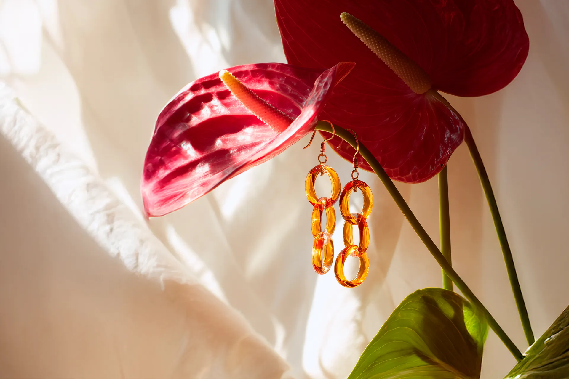 Flores rojas, imagen de campaña Bisutex 2026