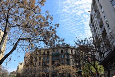 Buildings in Barcelona