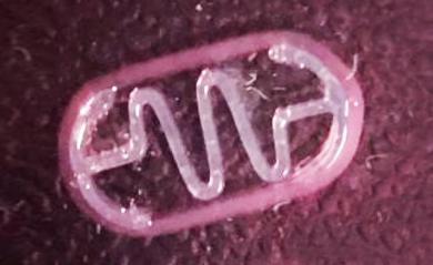 Biobots