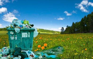 Madeira productos ecológicos