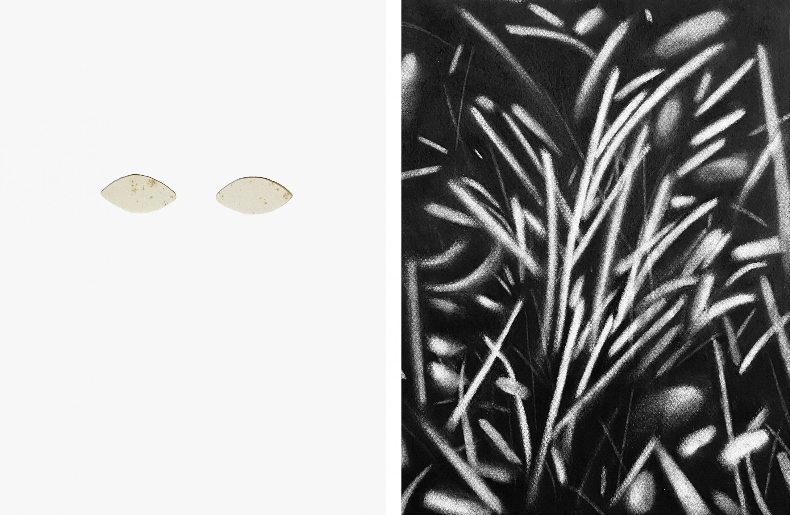 Untitled Estampa digital