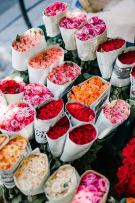 Floristería