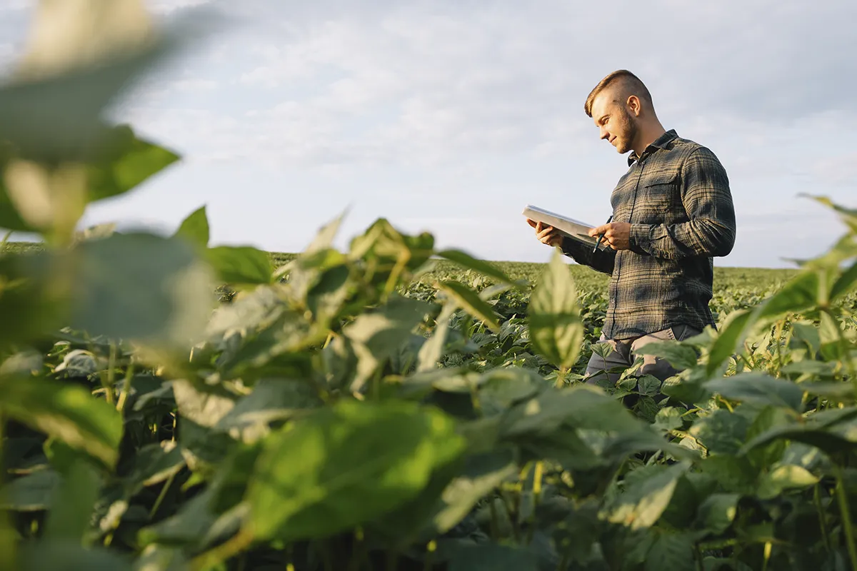 Man in the middle of a crop