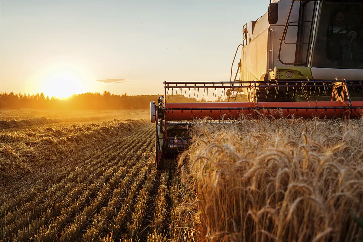 Tractor en el campo al atardecer en EXPO SAGRIS