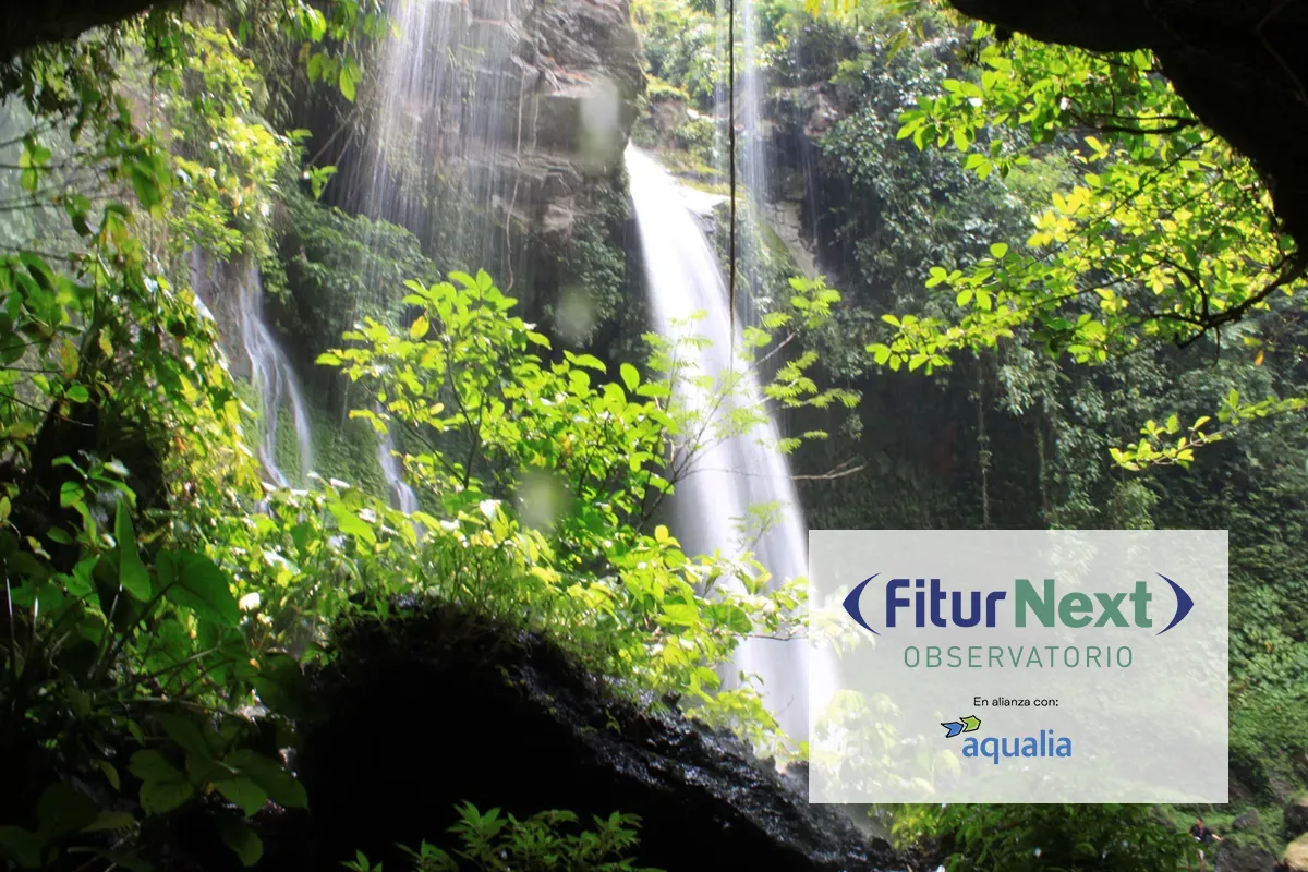 Forest with waterfall in the sun