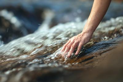 Image Article Preview  FITURNext Program