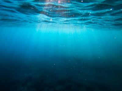 partial view of the seabed