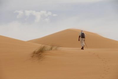IMG Mauritanian desert