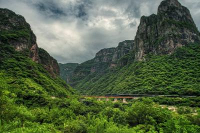 Tren pasando por mitad de montañas y selva Mexico Fitur 2026