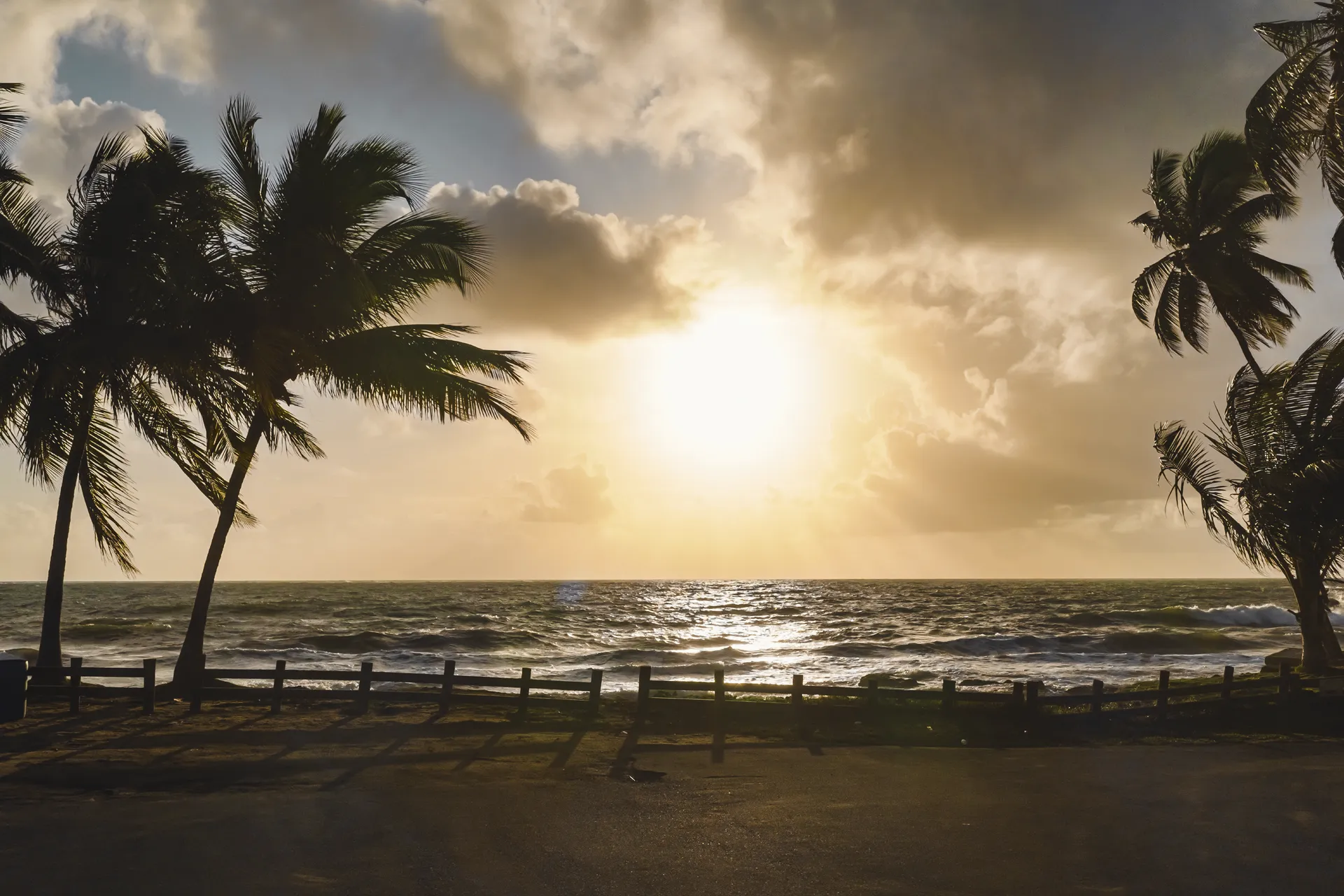 atardecer en una playa con palmeras - socio Fitur 2027