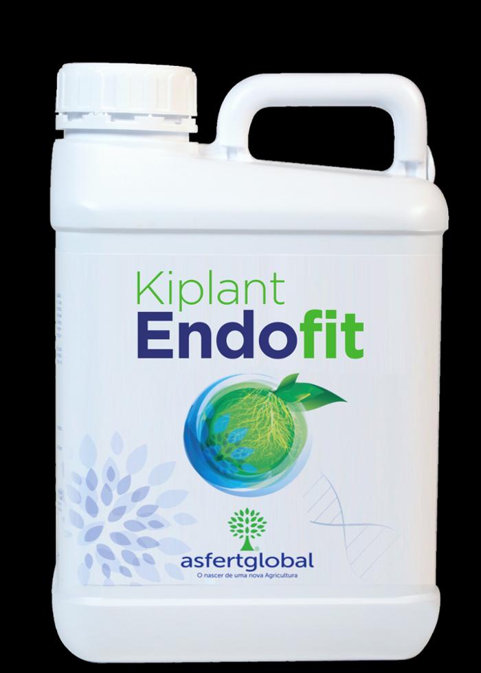 ASFERTGLOBAL