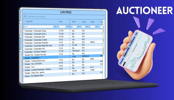 AUCTIONEER