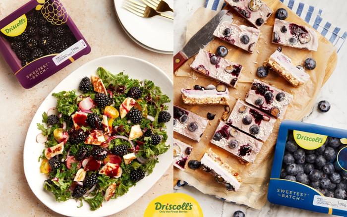 DRISCOLL´S OF EMEA