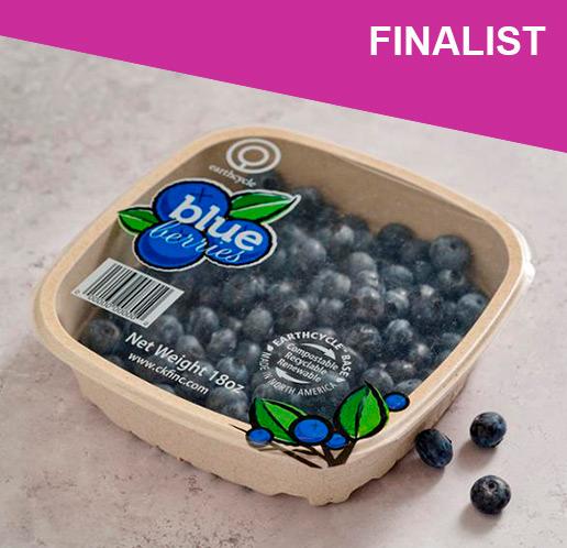 Earthcycle Blueberry Top Seal Punnet
