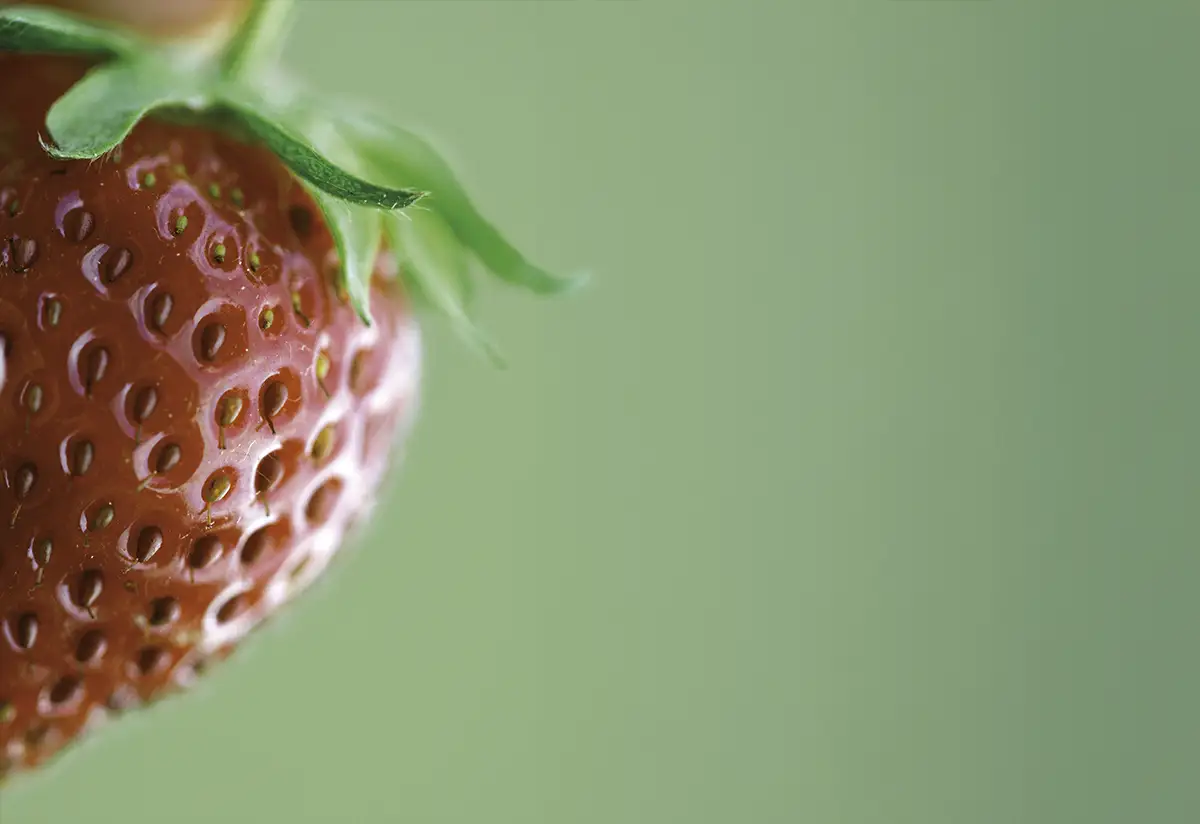 Andalusia strawberries from Fruit Attraction