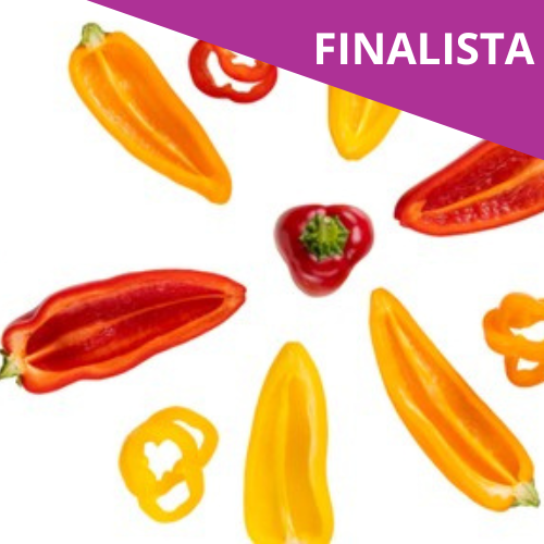 Coloured peppers from Hazera España 90 SAU