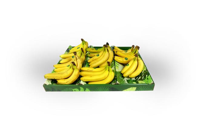 Producto Expositor Lineal para Bananas