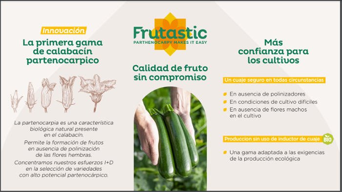 Producto Frutastic