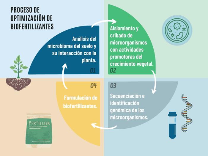 Producto Herramientas biotecnológicas y microbiológicas para el sector agroalimentario