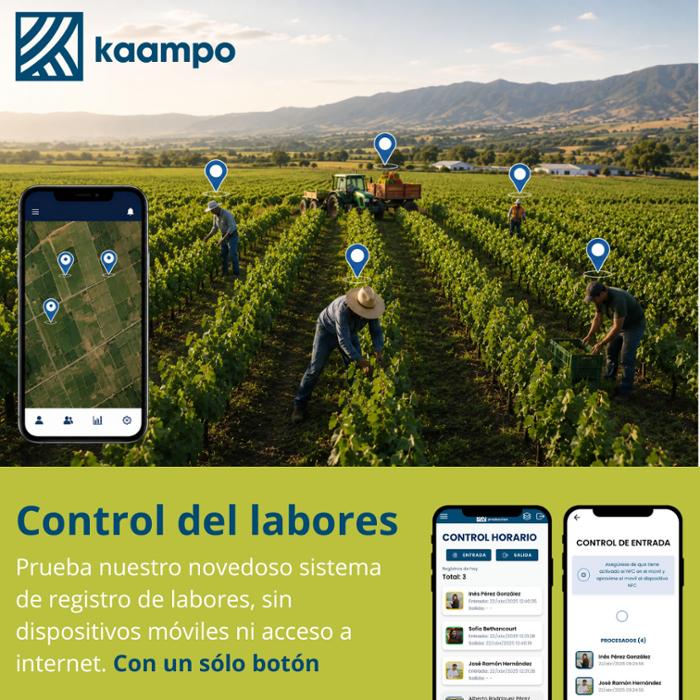 Producto KAAMPO - CREATIVE VENDING SL