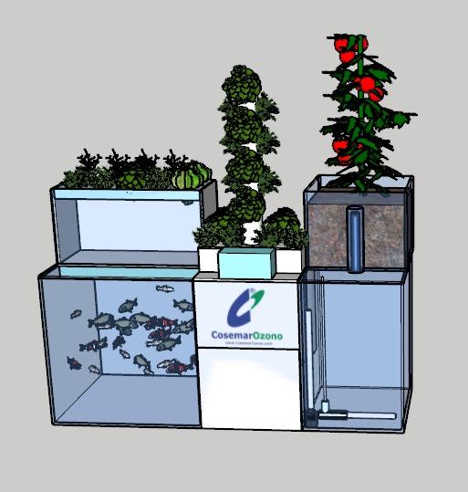 Ozone Aquaponic Demo System Product