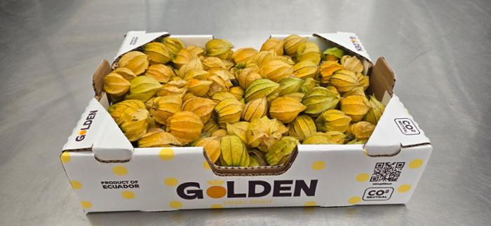 Producto YUPA FOOD CIA LTDA / GOLDEN SWEET SPIRIT
