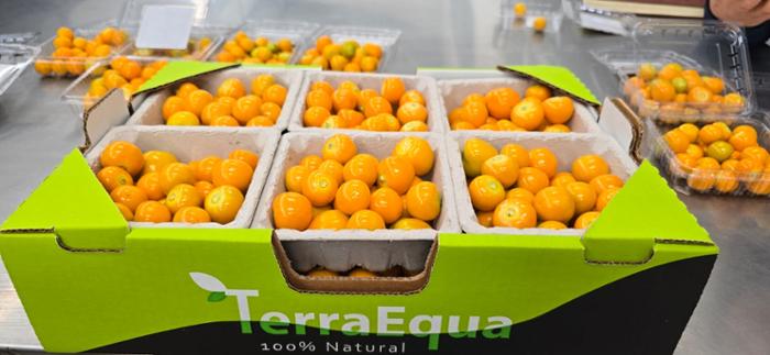 Producto YUPA FOOD CIA LTDA / GOLDEN SWEET SPIRIT