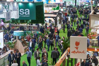 AMBIENTE PABELLON FA