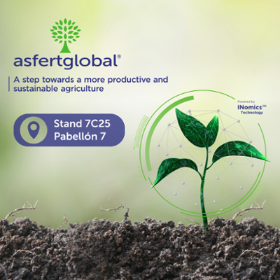 ASFERGLOBAL