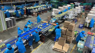 Production Line