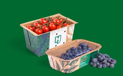 Caja de fresas y arándanos