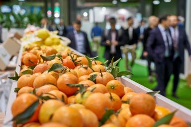 FOTO AMBIENTE FRUIT ATTRACTION
