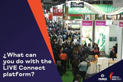 FRUIT ATTRACTION LIVEConnect: the commercial platform specialized in the fruit and vegetable sector.