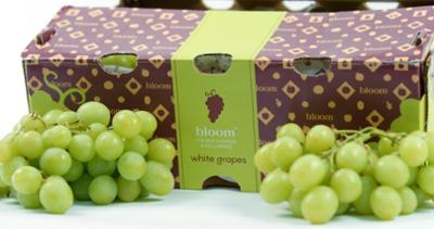 Fruitful Ventures