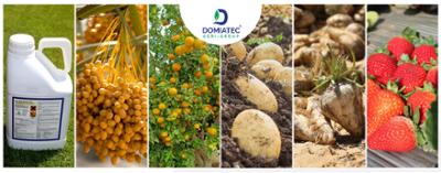 Domiatec group