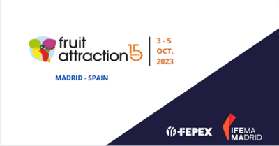 We spoke with Daniel Velo