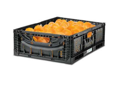 IFCO Digital, plataforma inteligente