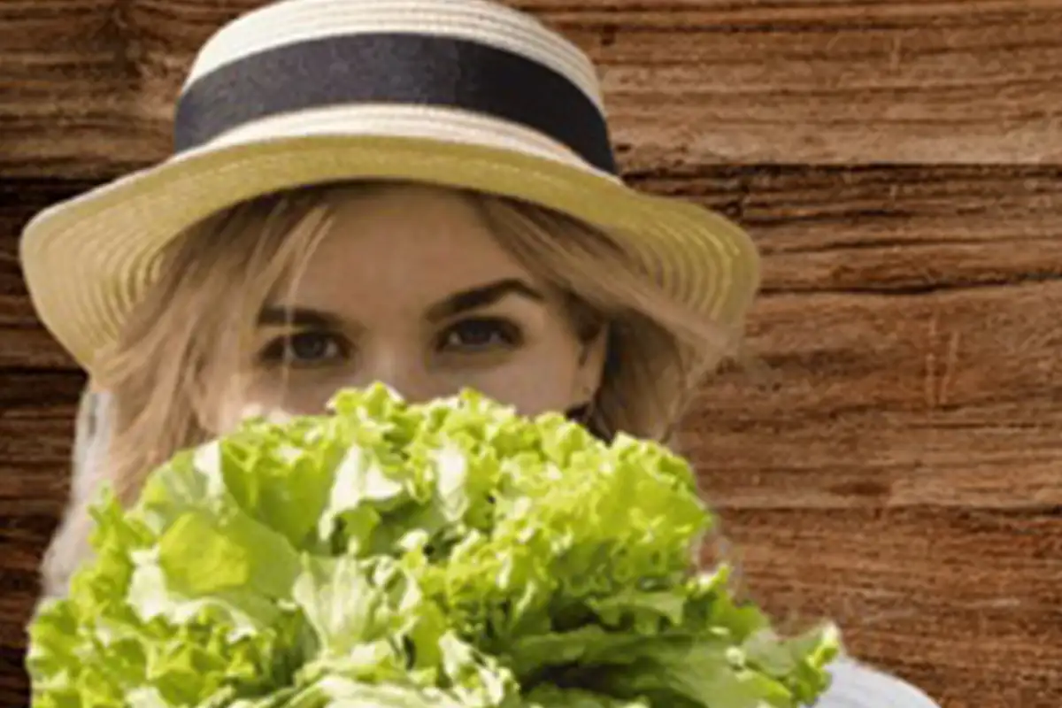 Lettuce attraction