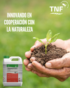 Hand with seed and TNF product